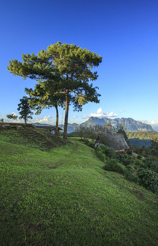 早上在泰国清迈的Doi Luang Chiang Dao欣赏美丽的山景